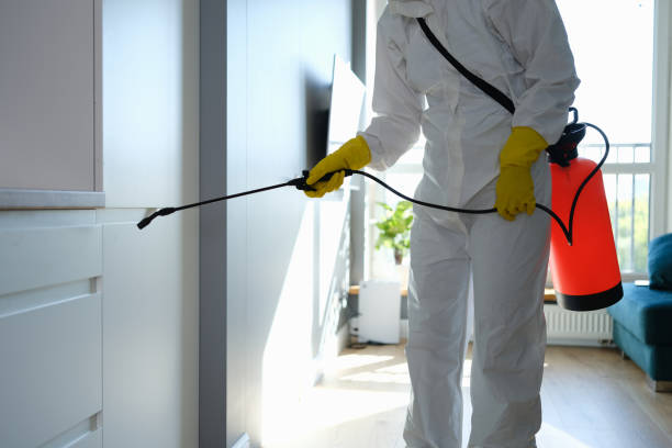 Best Commercial Mold Removal  in USA